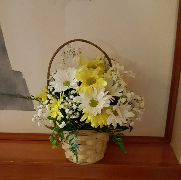 Meet your Posher, Wanda - Picture 1 of 1